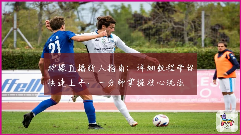 柠檬直播新人指南：详细教程带你快速上手，一分钟掌握核心玩法