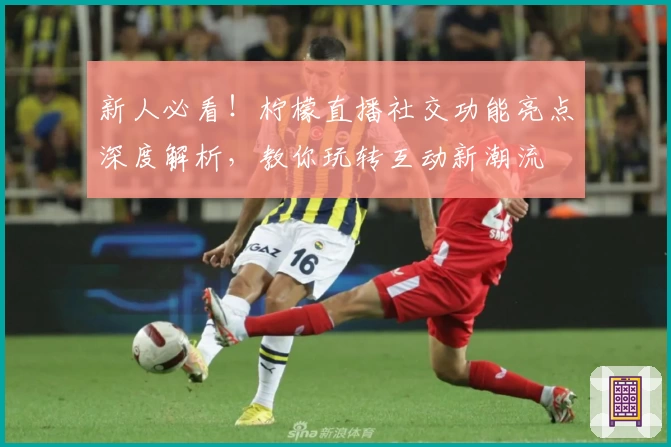 新人必看!柠檬直播社交功能亮点深度解析,教你玩转互动新潮流
